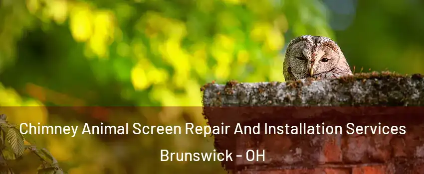  Chimney Animal Screen Repair And Installation Services Brunswick - OH