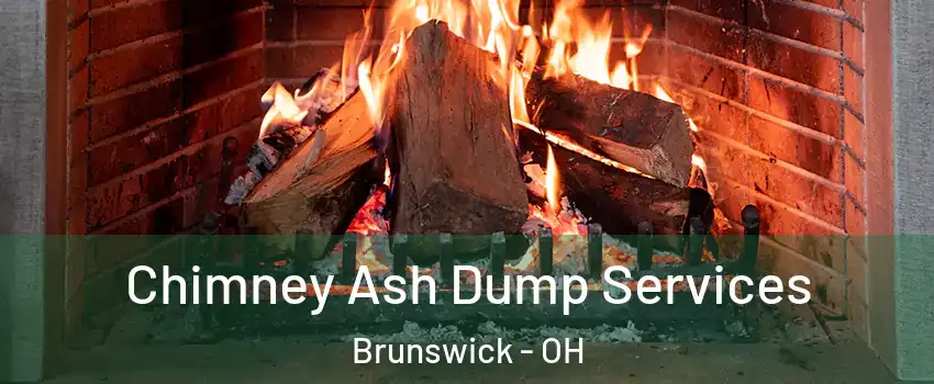  Chimney Ash Dump Services Brunswick - OH