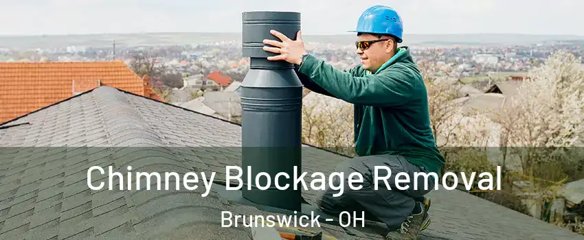  Chimney Blockage Removal Brunswick - OH