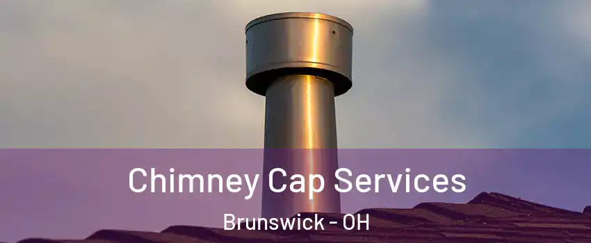  Chimney Cap Services Brunswick - OH