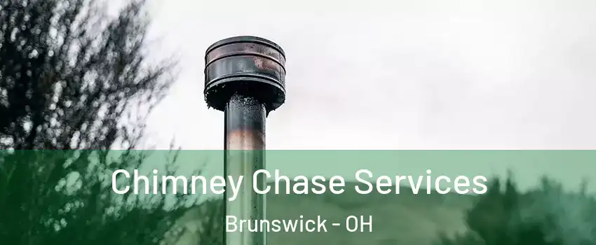  Chimney Chase Services Brunswick - OH