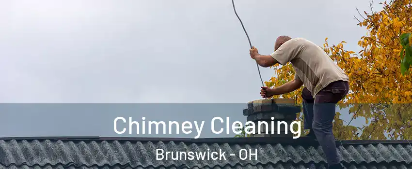  Chimney Cleaning Brunswick - OH