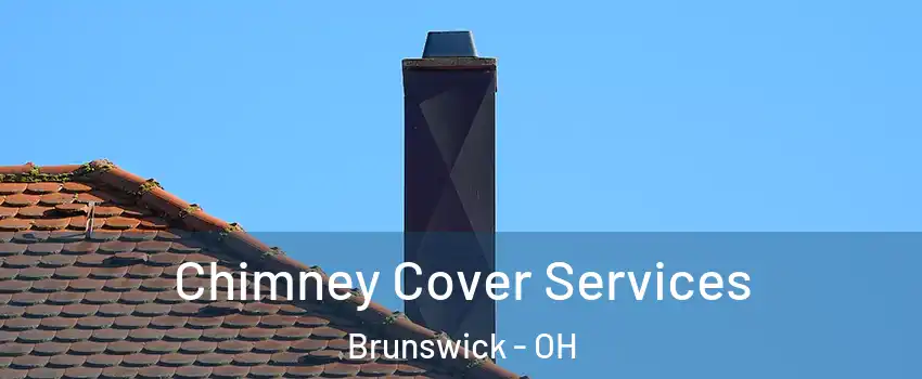  Chimney Cover Services Brunswick - OH