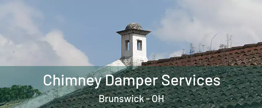  Chimney Damper Services Brunswick - OH