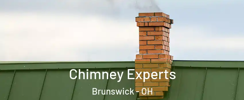 Chimney Experts Brunswick - OH