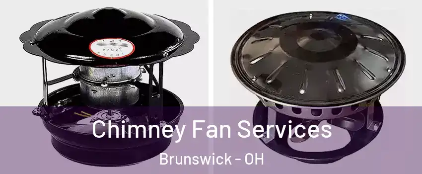  Chimney Fan Services Brunswick - OH