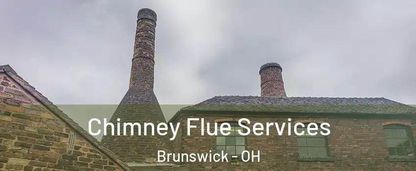  Chimney Flue Services Brunswick - OH