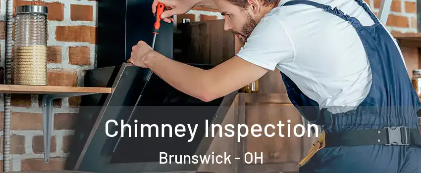  Chimney Inspection Brunswick - OH