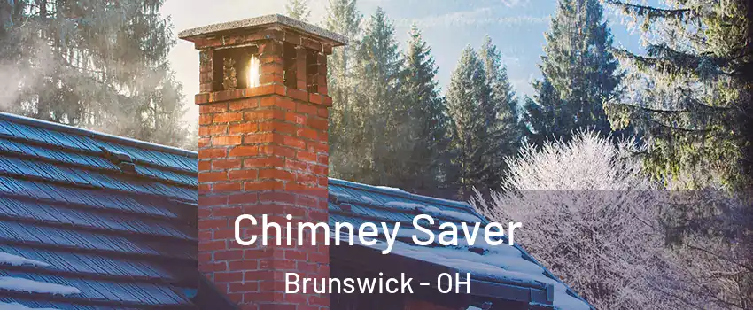  Chimney Saver Brunswick - OH