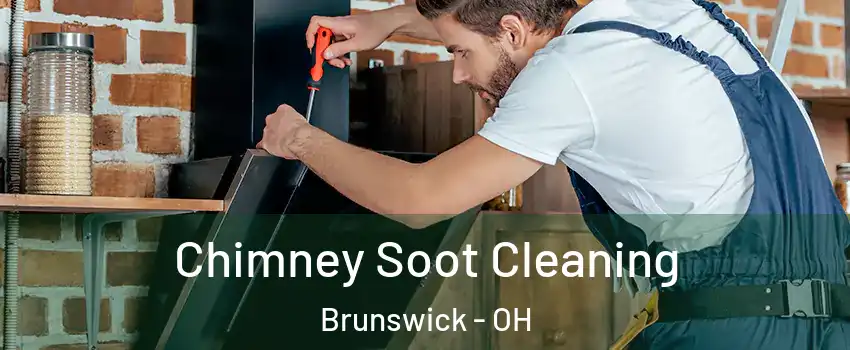  Chimney Soot Cleaning Brunswick - OH
