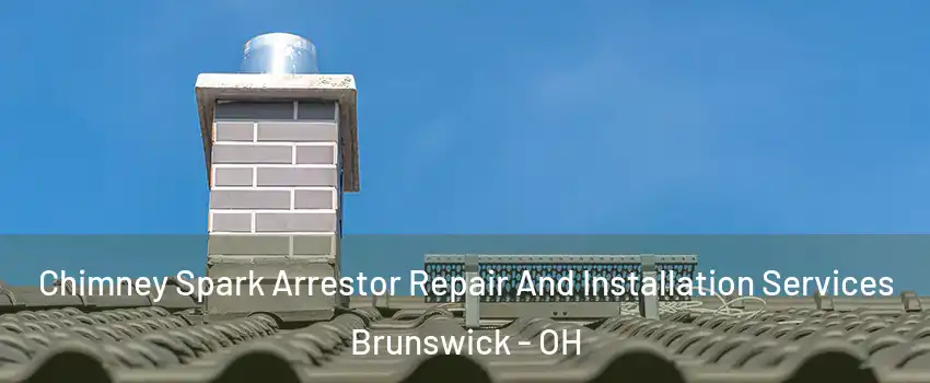  Chimney Spark Arrestor Repair And Installation Services Brunswick - OH