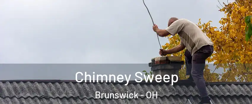  Chimney Sweep Brunswick - OH