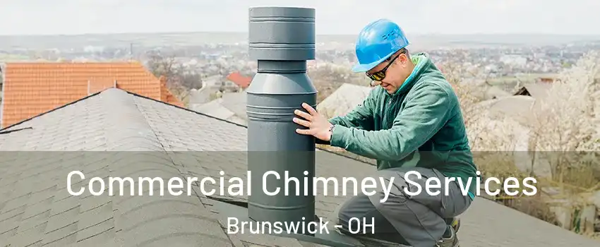  Commercial Chimney Services Brunswick - OH