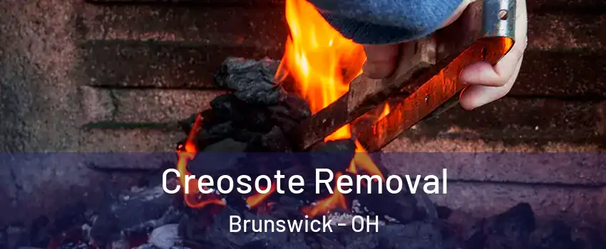  Creosote Removal Brunswick - OH