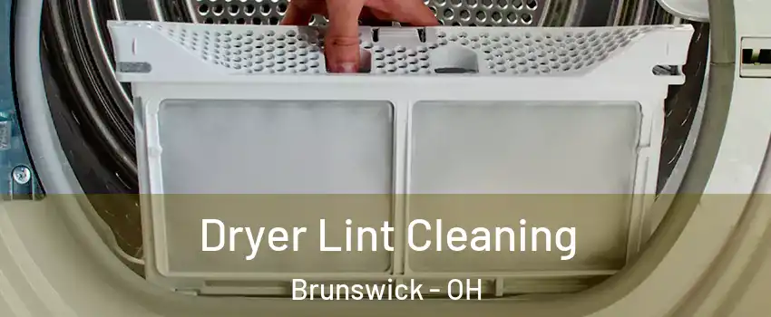  Dryer Lint Cleaning Brunswick - OH