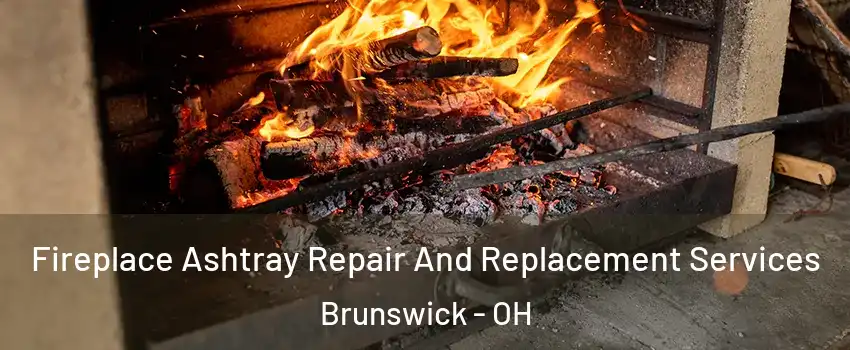  Fireplace Ashtray Repair And Replacement Services Brunswick - OH