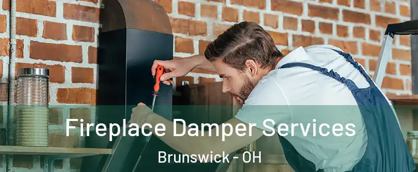  Fireplace Damper Services Brunswick - OH