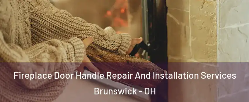  Fireplace Door Handle Repair And Installation Services Brunswick - OH