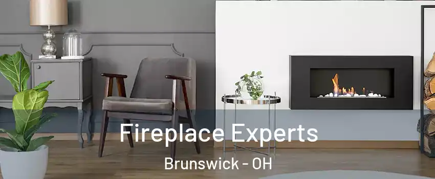  Fireplace Experts Brunswick - OH