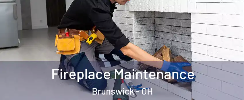  Fireplace Maintenance Brunswick - OH