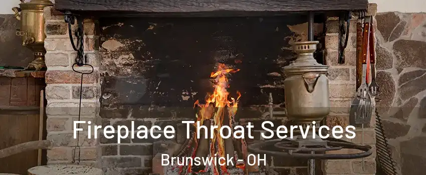  Fireplace Throat Services Brunswick - OH