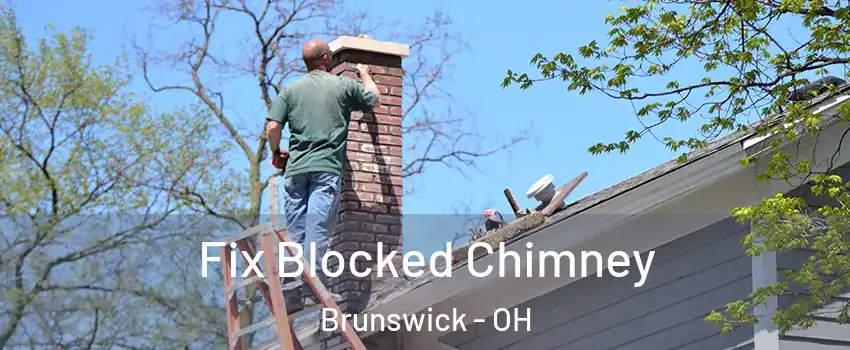  Fix Blocked Chimney Brunswick - OH