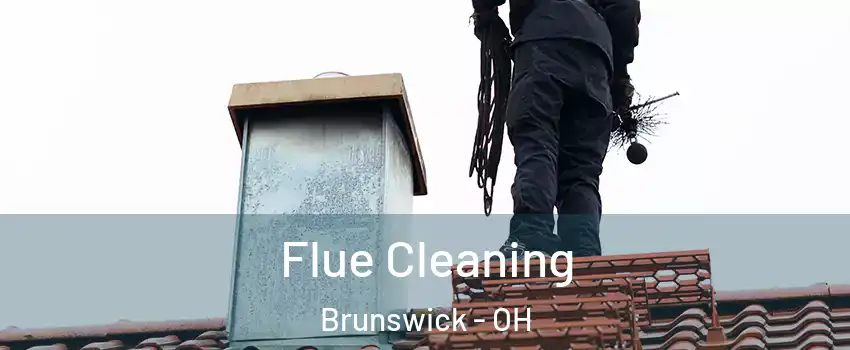  Flue Cleaning Brunswick - OH