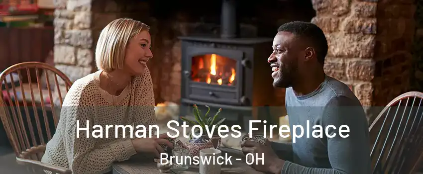  Harman Stoves Fireplace Brunswick - OH