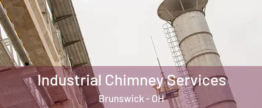 Industrial Chimney Services Brunswick - OH