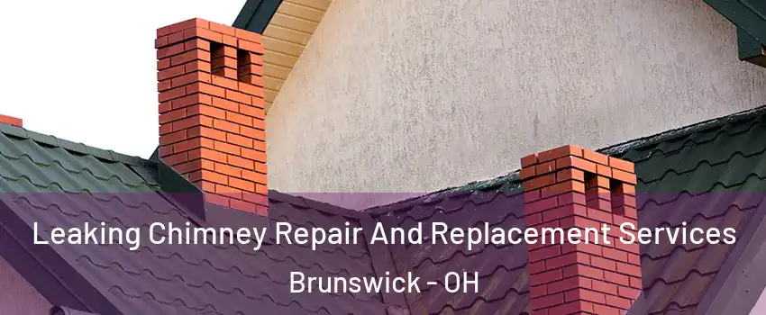  Leaking Chimney Repair And Replacement Services Brunswick - OH
