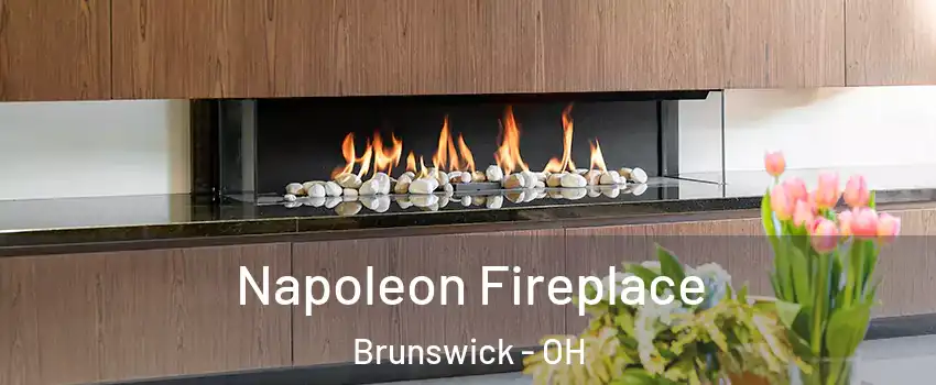  Napoleon Fireplace Brunswick - OH