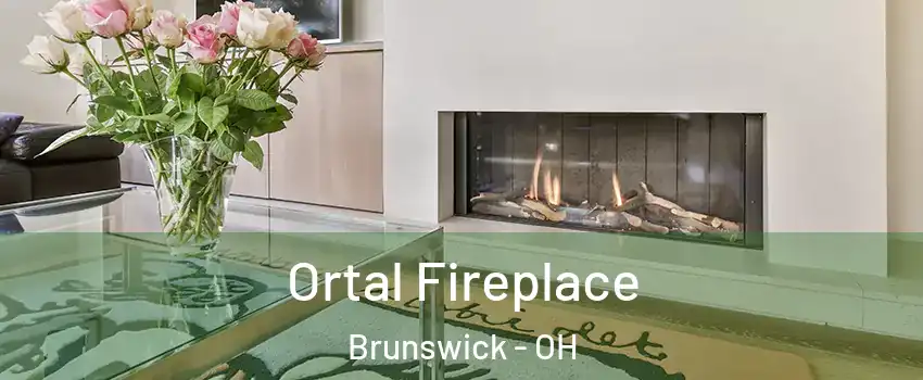 Ortal Fireplace Brunswick - OH